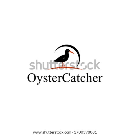 creative oyster catcher logo design vector image illustration