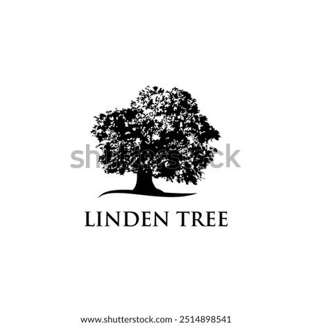 Linden tree vector silhouette grow leaves 