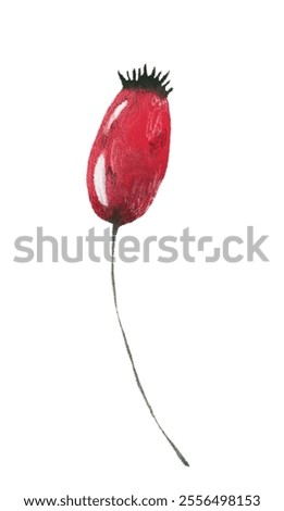 Image, Stock Photo Rose hip fireworks Nature