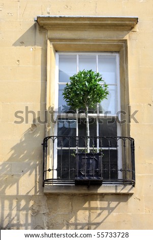 Architectural detail of a window and a wrought iron window veranda, with a small tree in a window box. Location in Bath, Wiltshire UK.