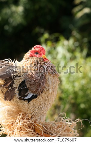 A rooster/chicken constructed of straw and similar natural materials, roosting on a bed of straw, set against a soft focus greenery background.