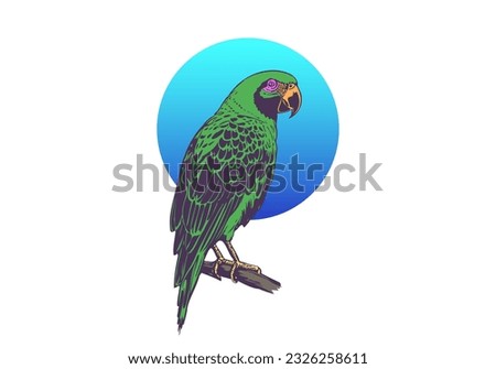 Vector graphic green parrot with a blue circle on a white isolated background. Jungle bird.