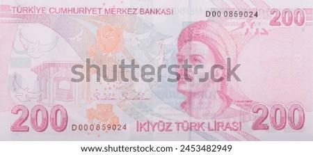 Vector reverse high polygonal pixel mosaic banknote of Turkey. Denominations of bill 200 lira. Game money of flyer. Part 2