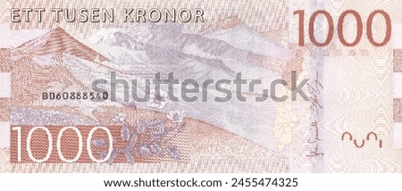 Vector reverse high polygonal pixel mosaic banknote of Sweden. Denominations of bill 1000 krones. Game money of flyer. Part 2