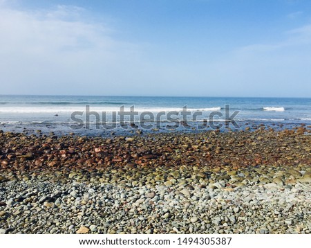 Shutterstock Puzzlepix