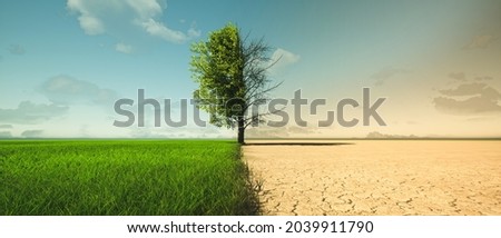 Climate change from drought to green growth. 3d render, 3d illustration Сток-фото © 