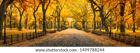 Central Park in New York City during autumn season