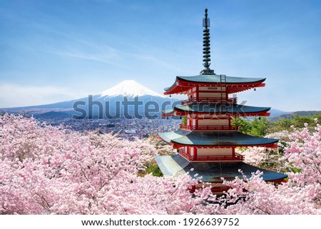 Similar – Image, Stock Photo cherry blossom Nature