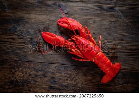 Boiled red Lobsters. Crawfish on wooden background. Seafood Photo stock © 