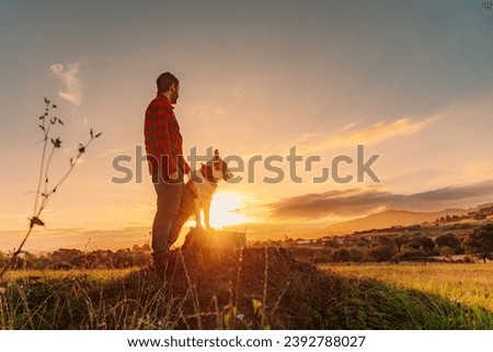 Similar – Foto Bild Hund beobachtet Sonnenuntergang auf dem Land