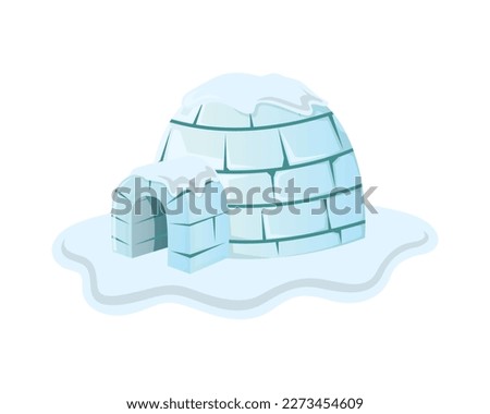 Igloo House Covered in Snow Illustration visualized with Semi Detailed Illustration