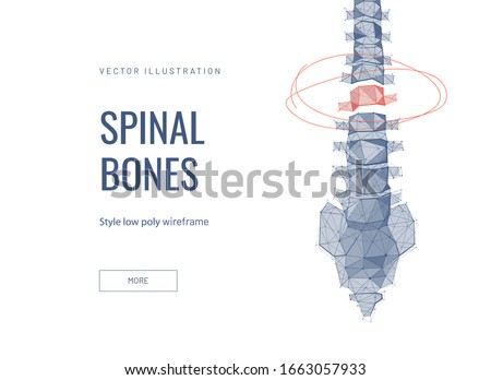 Spinal discs low poly wireframe landing page template. Anatomical web banner. 3d human backbone polygonal illustration. Human vertebra, spinal displacement mesh art homepage design layout