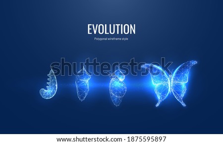 Evolution of a butterfly in a digital futuristic style. Insect life cycle, transformation from caterpillar to butterfly. The concept of a successful startup or investment or business transformation ストックフォト © 