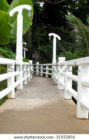 Tropical jungle path with white jetty background
