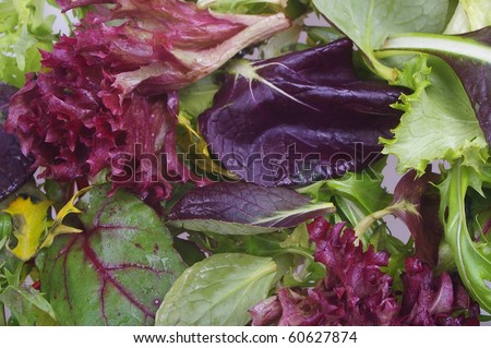 Mixed salad loose lettuce and spinach  leaves