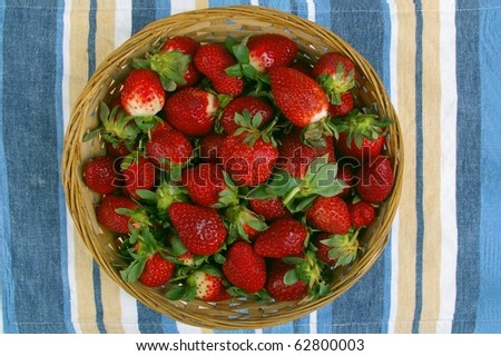 fresh red strawberry harvest in cane basket