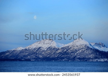 Similar – Image, Stock Photo mold Nature Landscape