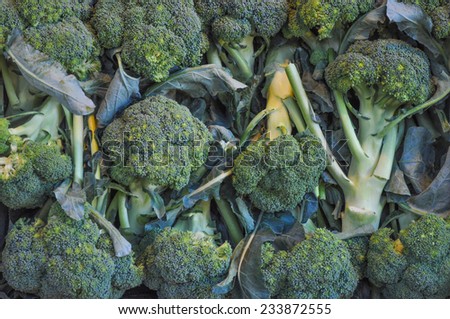 Broccoli cabbage vegetables in crate on a market shelf