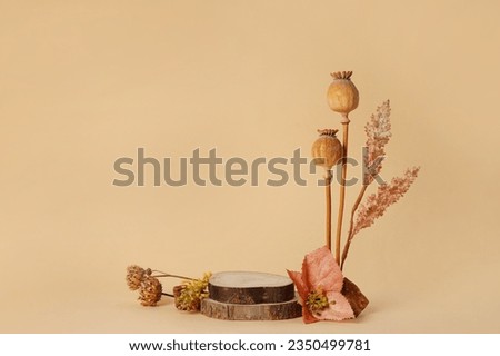 Image, Stock Photo Individual cosmetics flower in bloom in a vase in the shape of a metal jug