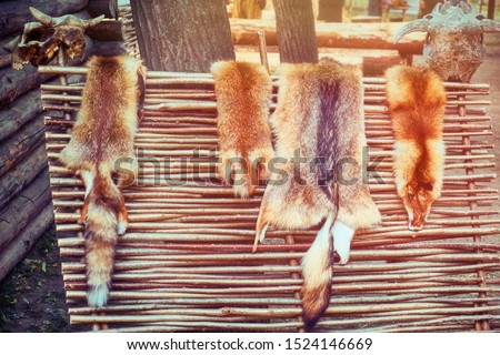 Rustic fence on which hunters dry tanned skins. Animal skins on wattle and cow skulls. Stock fotó © 