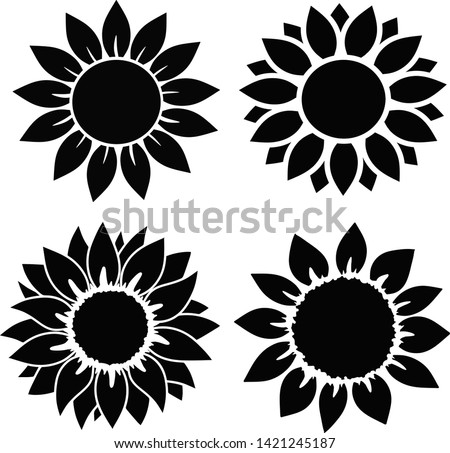 Sunflower set  isolated, for cutting