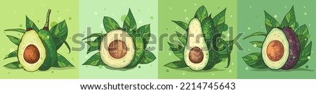 Different types of avocado. Vector illustration. Banner for advertising and selling fruits on the site or in the store. Whole avocado with leaves and cut in half. Healthy food poster concept.
