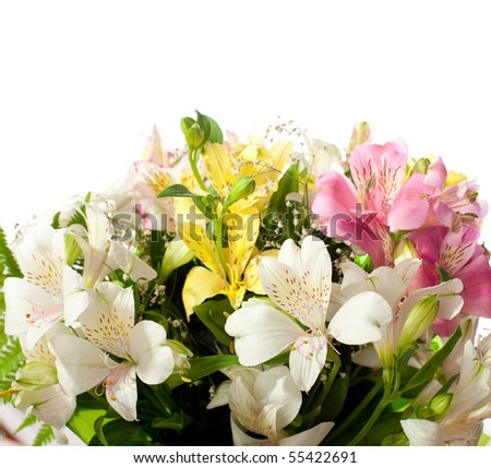 Bouquet of Alstroemeria flowers  isolated  on white background. Focus on the foreground