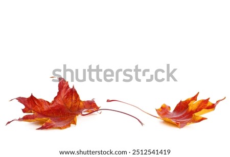 Image, Stock Photo Autumn leaves lie on a path. Fuzzy tree bush, house and passer-by in the background. Residential area