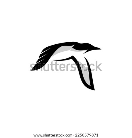 Murre logo design icon. Thick-billed Murre logo design inspiration. Murre animal logo design template. Animal symbol logotype. Murre symbol silhouette.