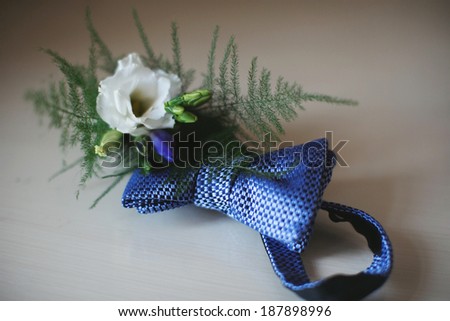 butterfly tie wedding