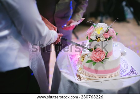 The bride and groom cut the wedding cake closeup