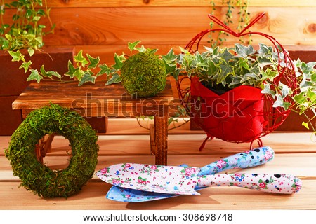House plant with garden supplies