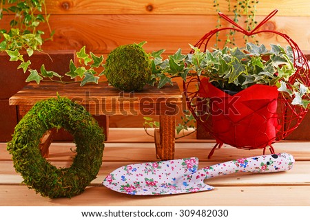 House plants with garden supplies