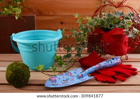 House plants with garden supplies