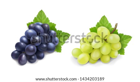 Red and white table grapes. Wine grapes realistic bunch vector icon set. 商業照片 © 