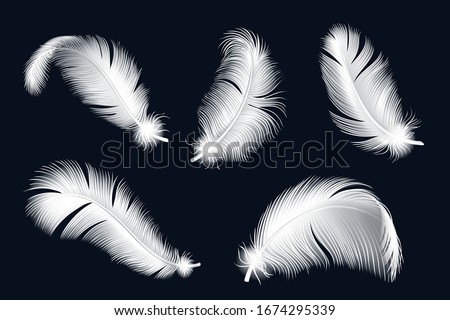 Isolated white feathers set. Realistic bird fluffy feather collection, goose, dove falling fluff vector illustration.