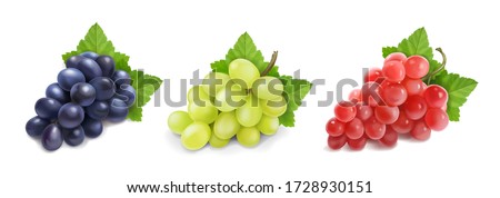Different wine grapes. Green grapes, black and red pink muscatel grape banches 3d vector icon set. 商業照片 © 