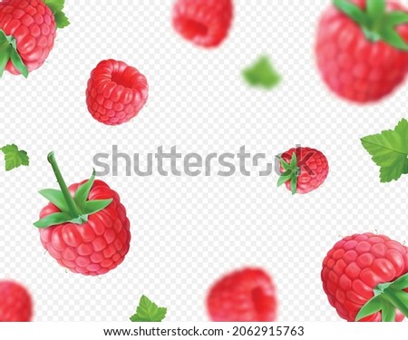 Raspberry background. Fresh falling realistic raspberry with green leaf on transparent background. Motion blur berries