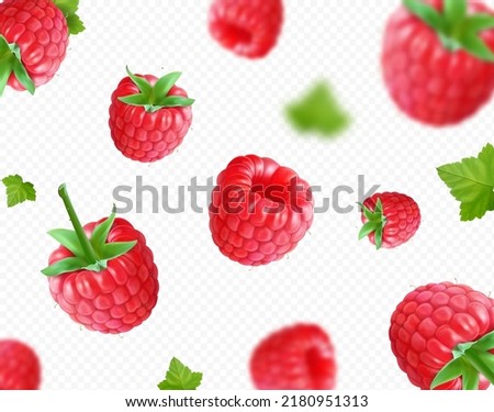 Raspberry background. Realistic raspberry with green leaf falling on transparent background. 3D realistic vector.