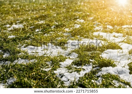Similar – Image, Stock Photo Watering the lawn with water in summer. gardening concept. drops of water from the ameliorative irrigation system are fed to grow ing garden plants against a sunny day