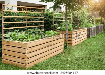 Similar – Image, Stock Photo Raised beds in the garden