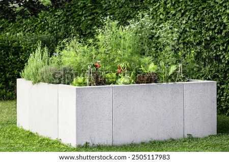 Similar – Image, Stock Photo Raised beds in the garden