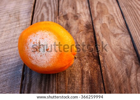 A rotten orange on wooden background. Spoiled food. Toned image.  ストックフォト © 