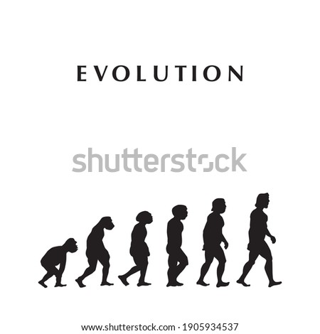 theory of evolution, vector illustration, for background, white background