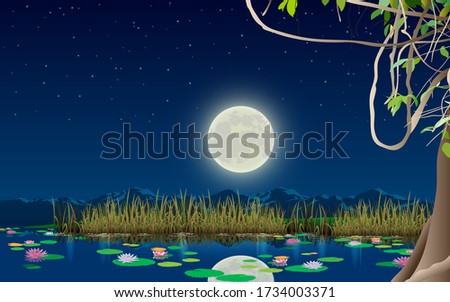 Similar – Image, Stock Photo Summer nights are full of wild adventure and wild brunette girls dressed in red see-through dresses trying to undress. Gorgeous woman and her beautiful curves. Pretty legs. Oh, and green leaves of some kind of bushes as well.