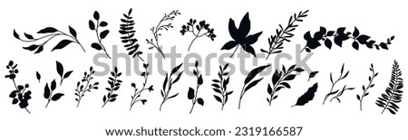 Botanical floral set in silhouette style. Hand drawn minimalistic elegant herbs, twigs, branches, flowers and leaves. Vector trendy wedding greenery