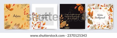 Similar – Image, Stock Photo autumn foliage