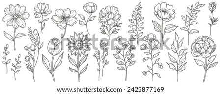 Hand drawn spring minimal flowers in line art style. Trendy botanical elements of plants, branches and leaves. Vector illustration of logo or tattoo, save the date, card, wedding invitation