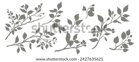 Set of silhouettes of branches and leaves. Hand drawn vector botanical elements