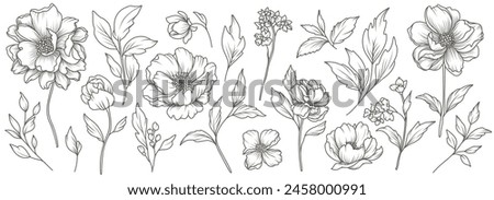 Collection of sketches of blooming floral plants. Hand drawn vintage peony flowers and leaves in line art style. Vector botanical engraving on white background